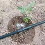 PE Drip Irrigation Tape & Pipe - Image 5